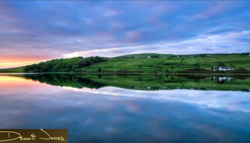 Dewitt - Visual Banquet